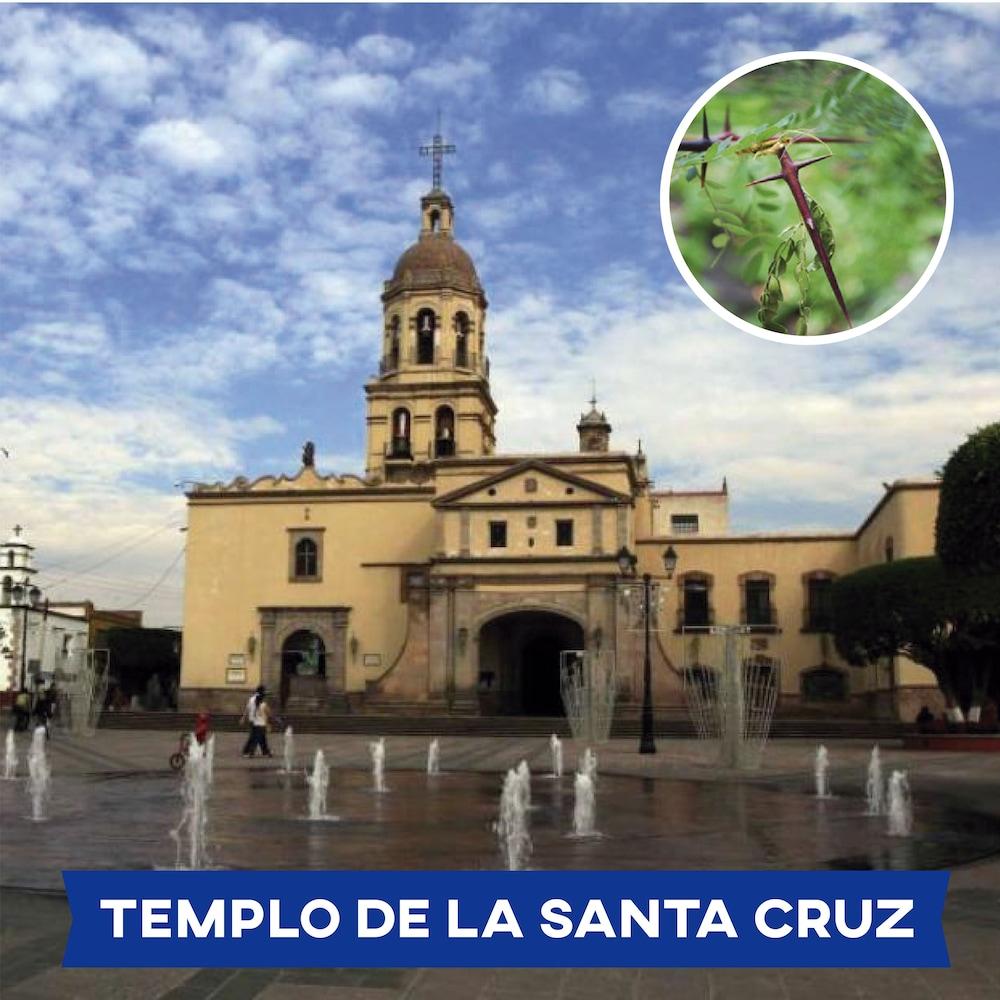 Hi Hotel Impala Querétaro Extérieur photo