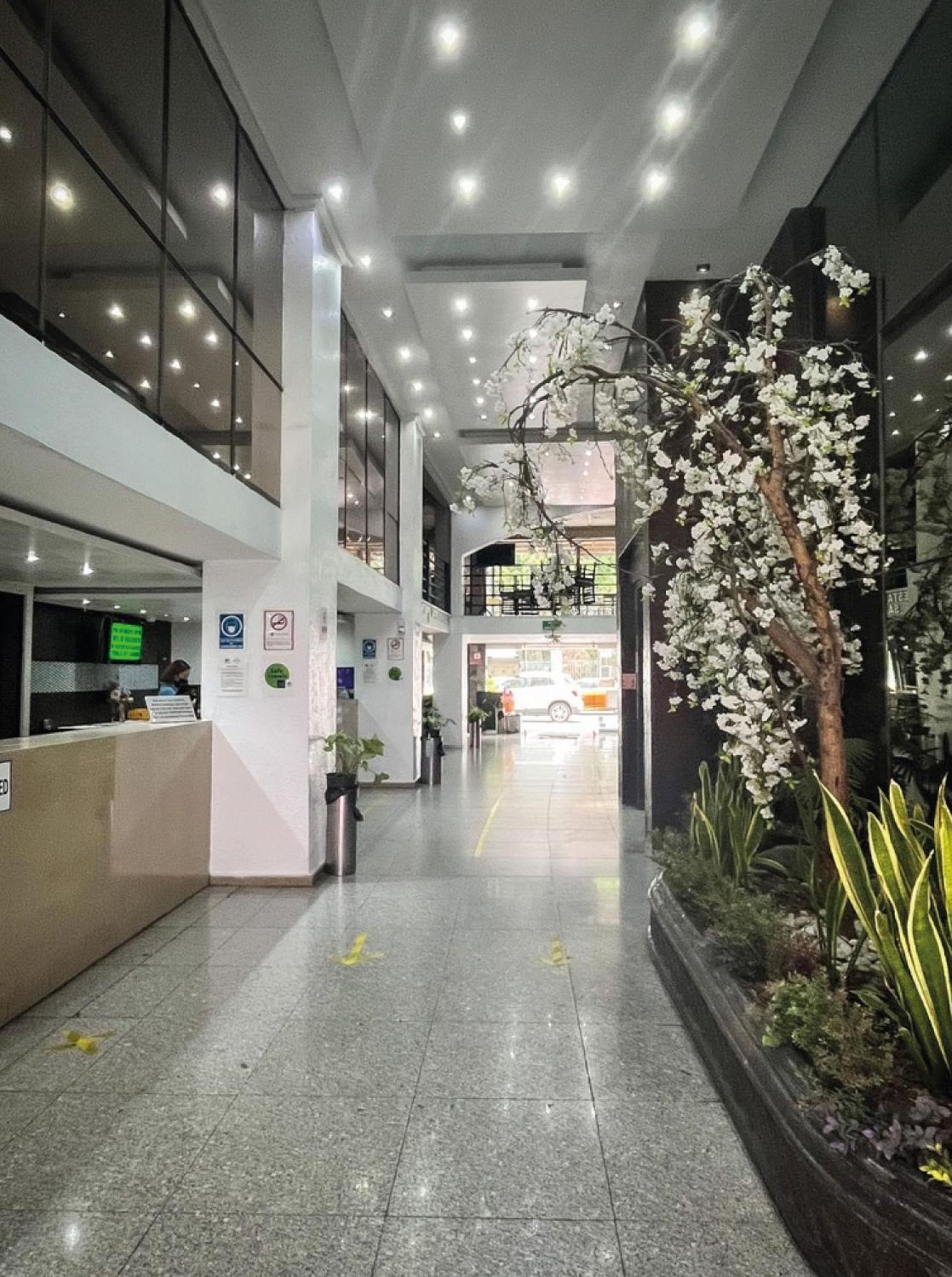 Hi Hotel Impala Querétaro Extérieur photo